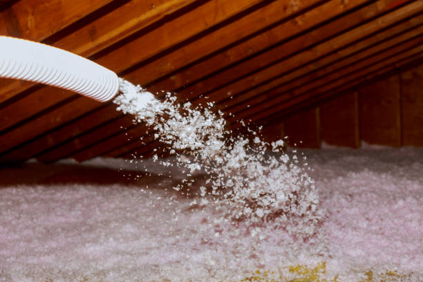 Best Cellulose Insulation in Barry, IL