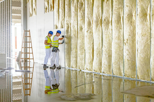Best Geographic-Specific Insulation Services in Barry, IL